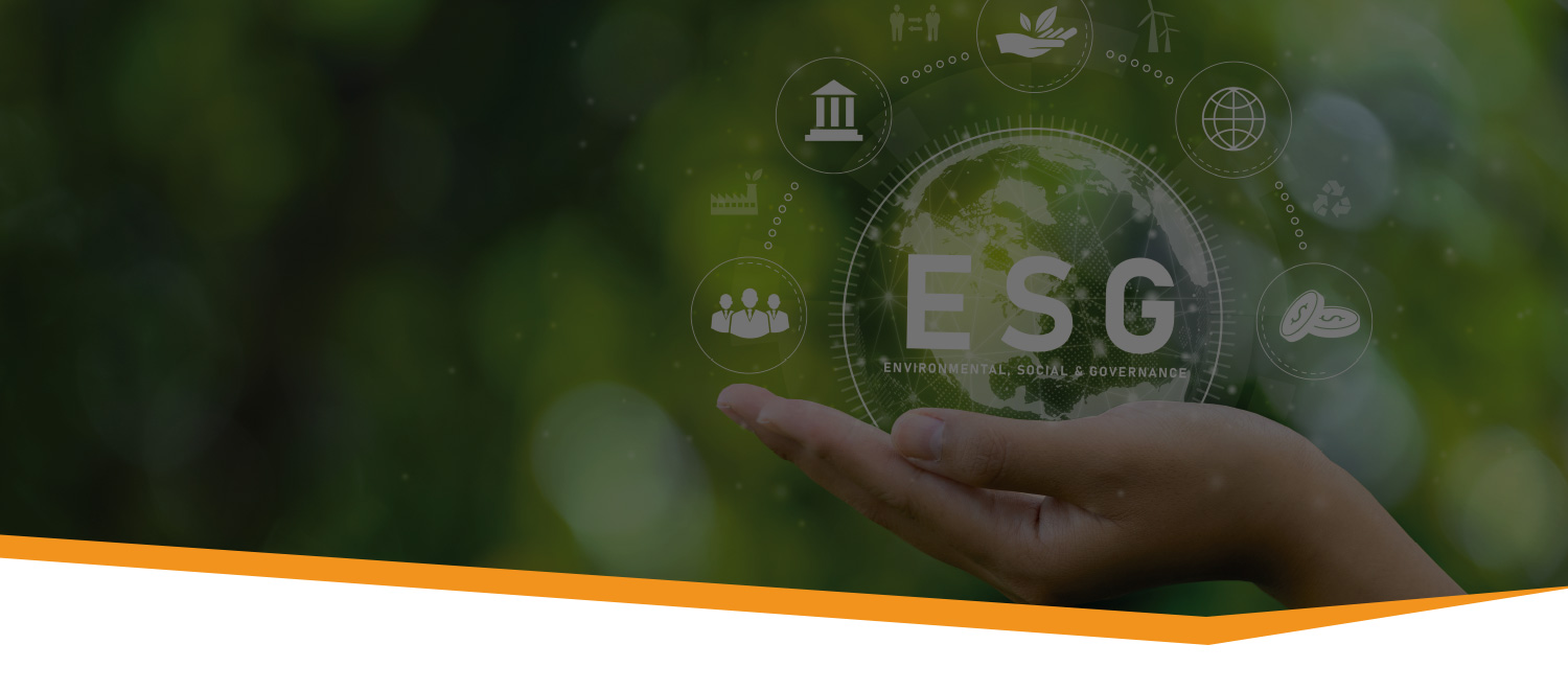 hse-servizi-slide-esg