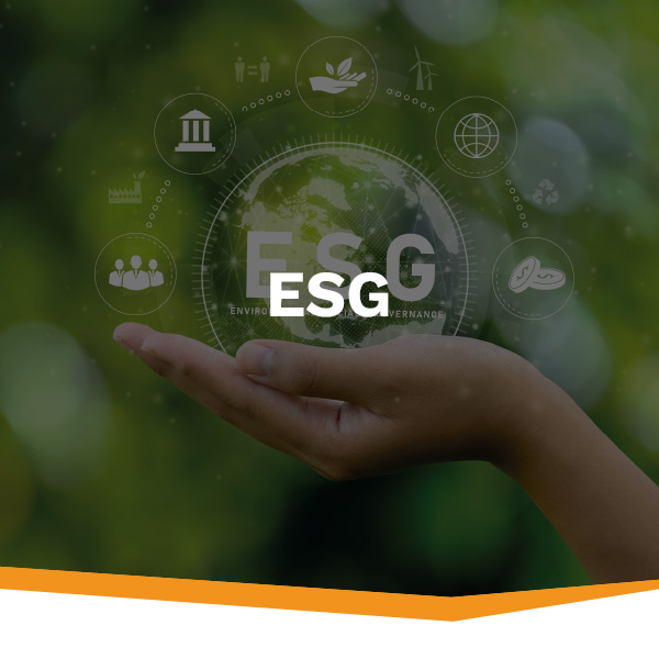 hse-servizi-slide-mobile-esg